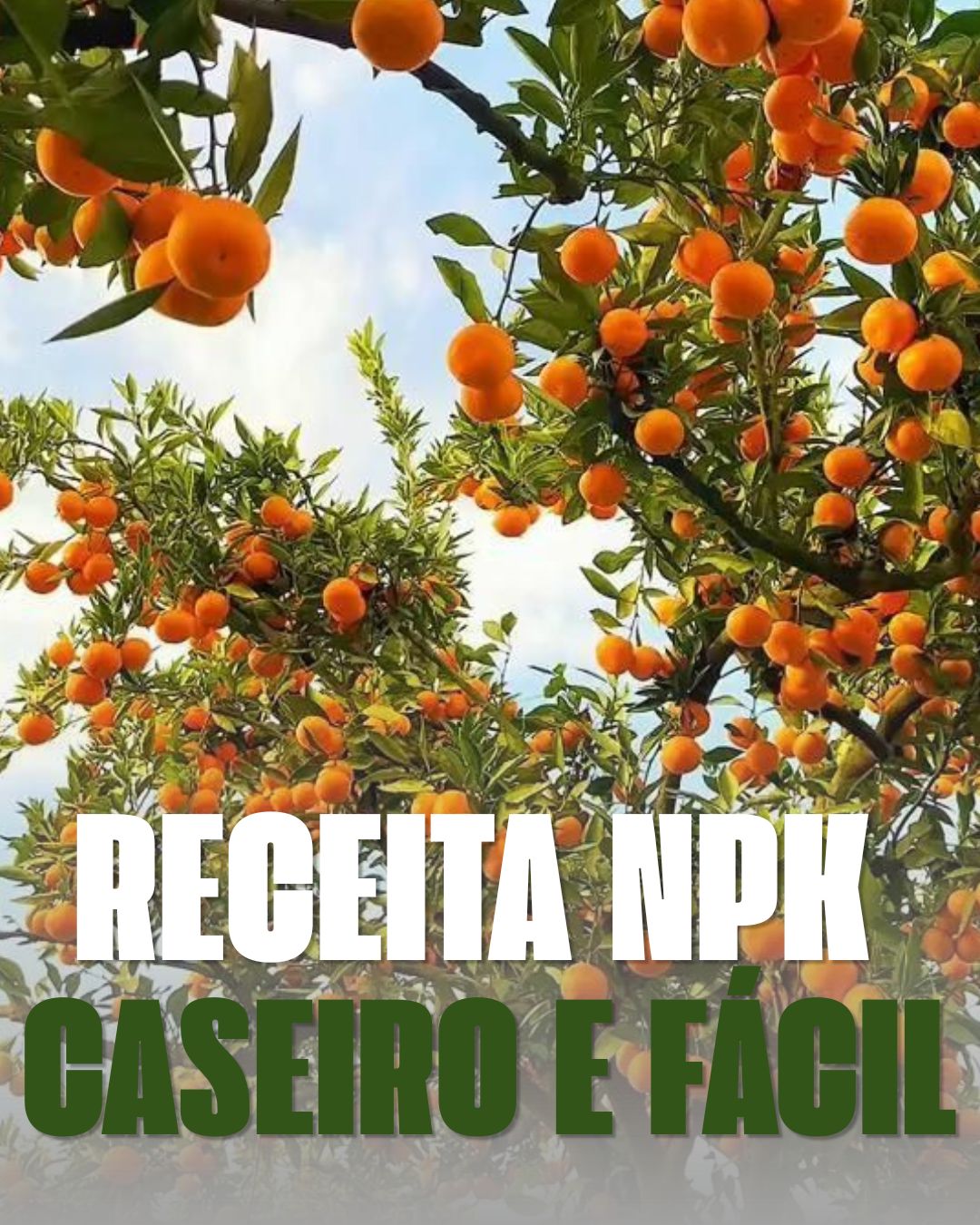 O Metodo NPK Natural completo